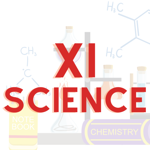 XI Science