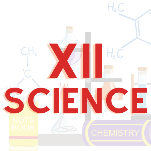 XII Science